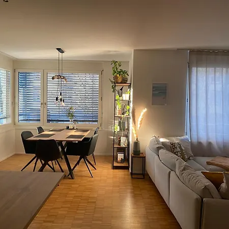 Nahe Des Rheins In Apartment Basel